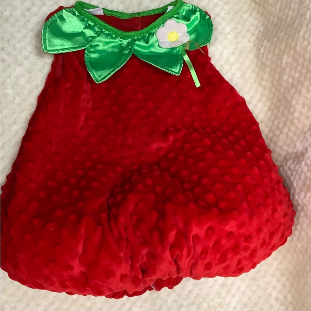 Fun Of A Kind 24 Month Strawberry Costume for Halloween or Dress Up